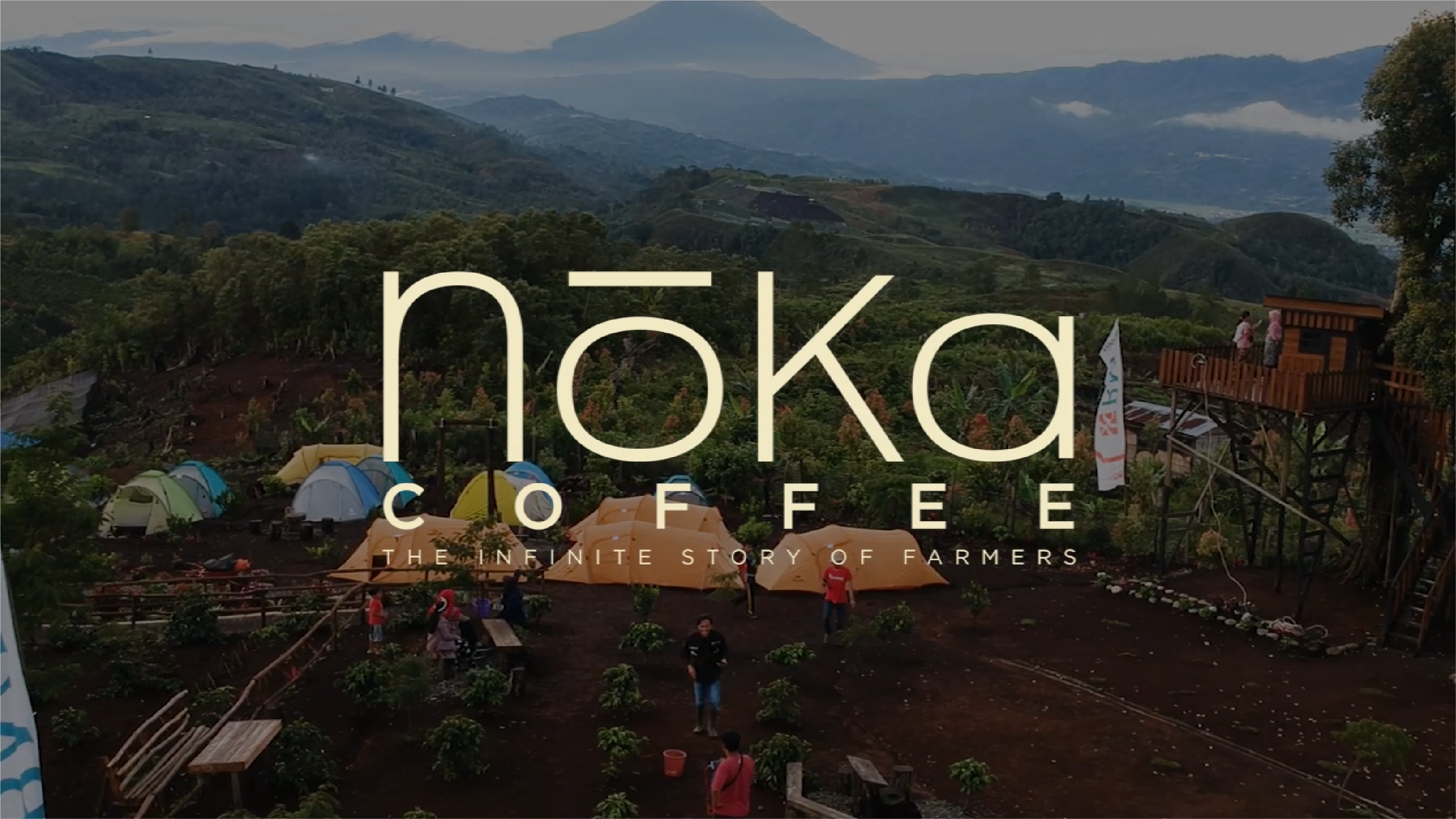 Noka